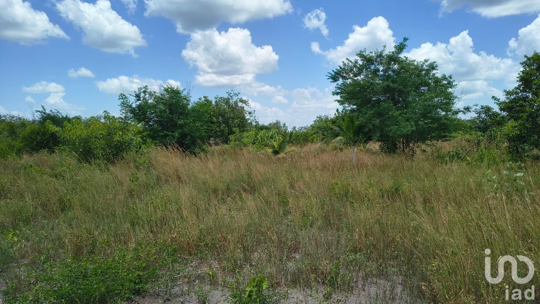 Land in Torno Largo, Campeche, Mexico 5 - 16855765