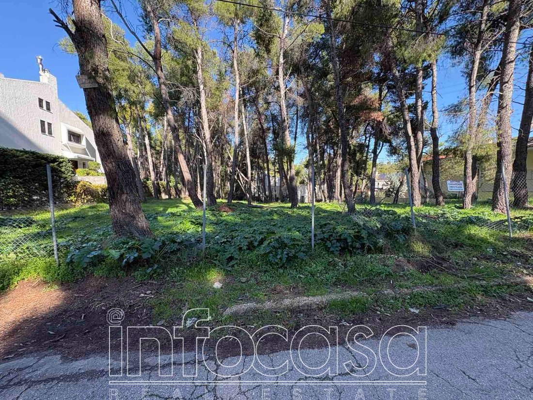 Land in Ekali, Attica, Greece 1 - 16860672