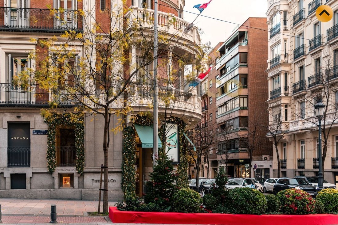 Wohnung in Salamanca, Madrid, Spanien 4 - 16832577