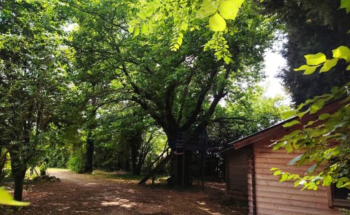 Castle for Sale in Carpentras, Provence-Alpes-Côte d'Azur, France