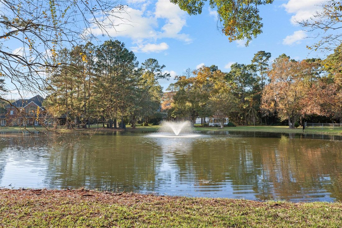 House in Tomball, Texas, United States 5 - 16854210
