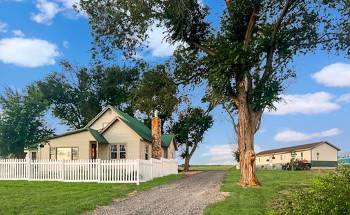 House in Crawford, Colorado, United States 1