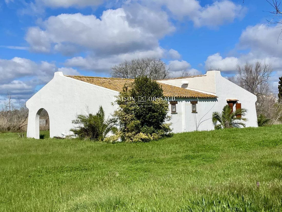 Country House in Saintes-Maries-de-la-Mer, Provence-Alpes-Côte d'Azur, France 5 - 16881618