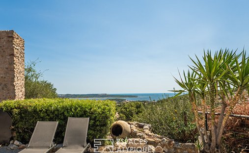 Castle for Sale in Narbonne, Occitanie, France