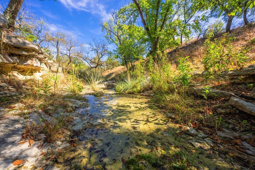 House in Kerrville, Texas, United States 4 - 16859706