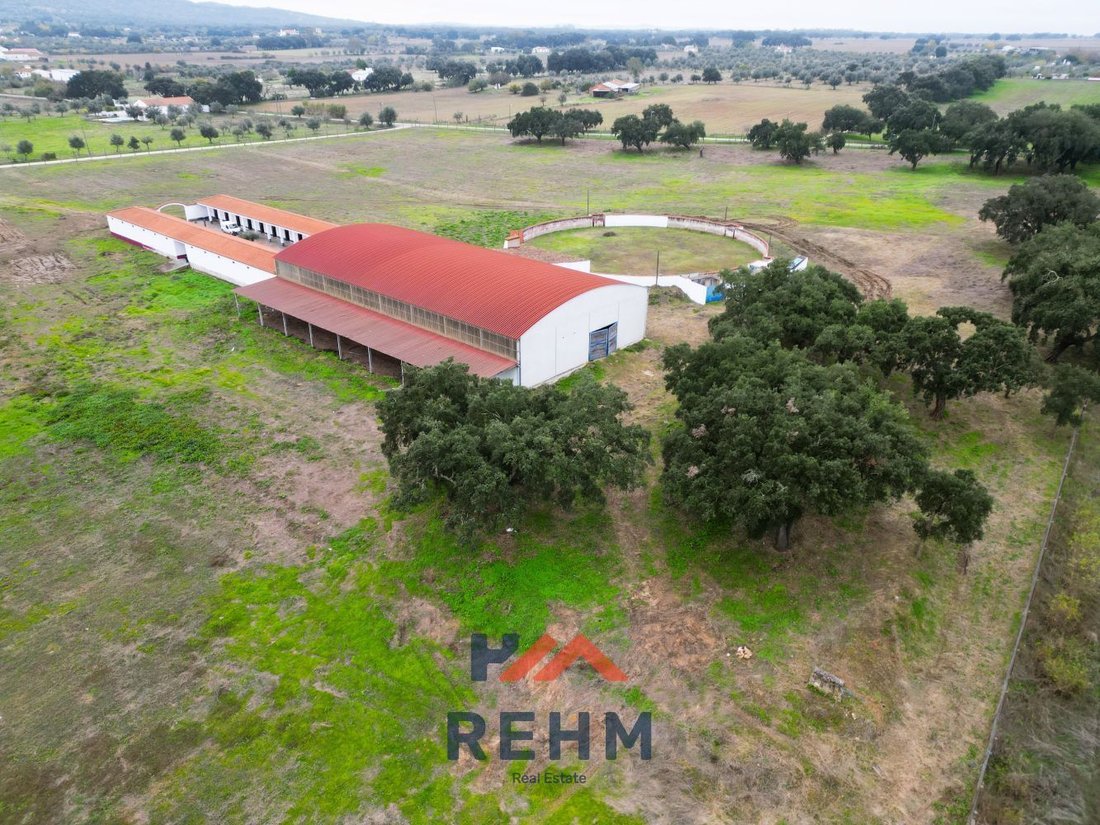 Farm Ranch in Evora (Sao Mamede, Se, Sao Pedro e Santo Antao), Évora District, Portugal 3 - 16864292