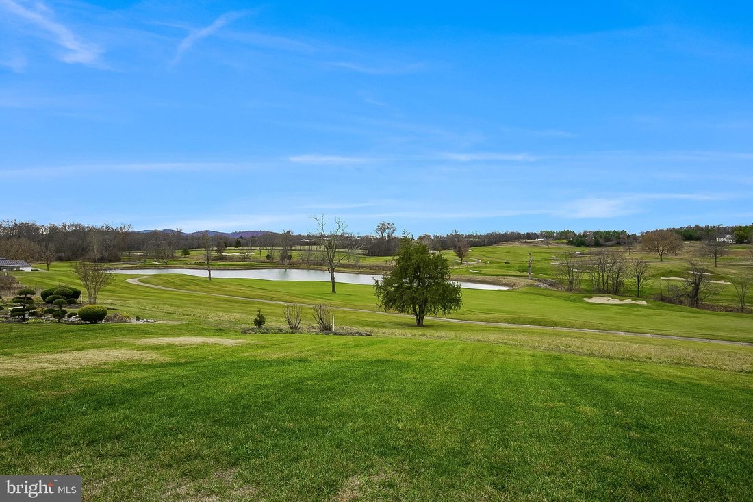 Leesburg, Virginia, United States 5 - 16869886