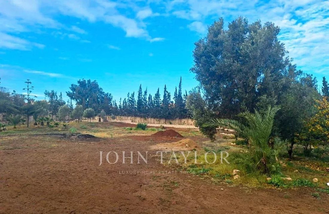 Land in Essaouira, Morocco 1 - 16859658