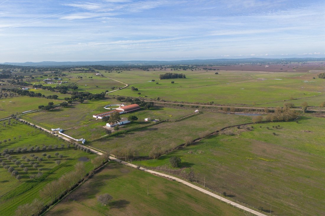 Farm Ranch in Viana do Alentejo, Évora District, Portugal 4 - 16884877
