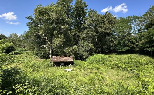 Castle for Sale in Dax, Nouvelle-Aquitaine, France