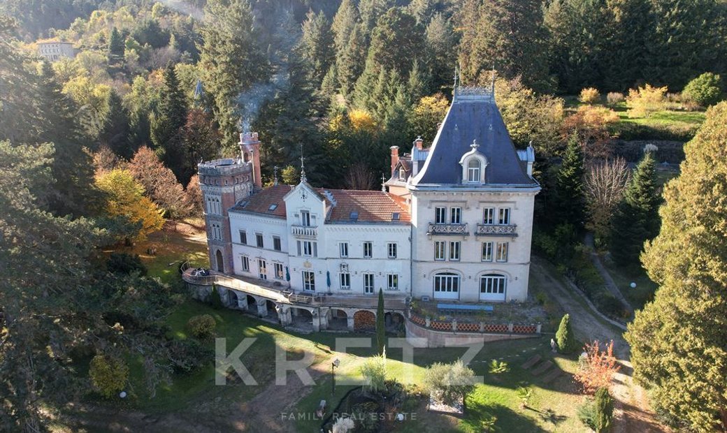 Castle for Sale in Bas-en-Basset, Auvergne-Rhône-Alpes, France