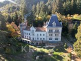 Castle for Sale in Bas-en-Basset, Auvergne-Rhône-Alpes, France