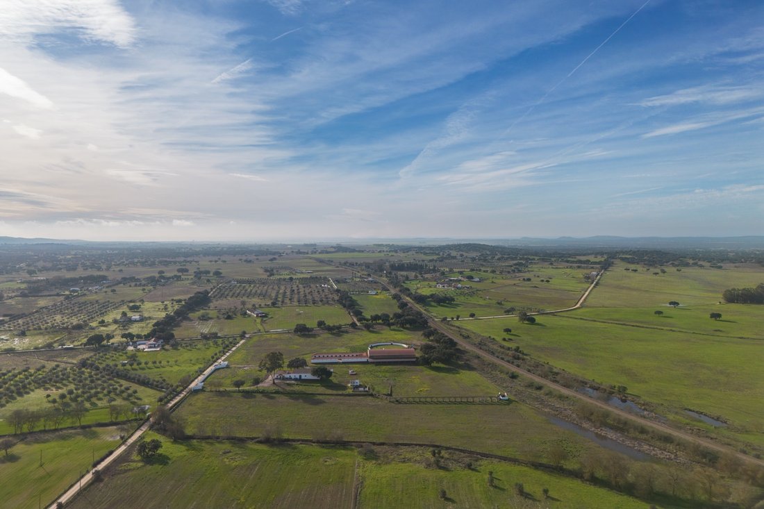 Farm Ranch in Viana do Alentejo, Évora District, Portugal 5 - 16884877