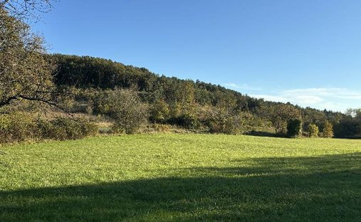 Castle for Sale in Le Bugue, Nouvelle-Aquitaine, France