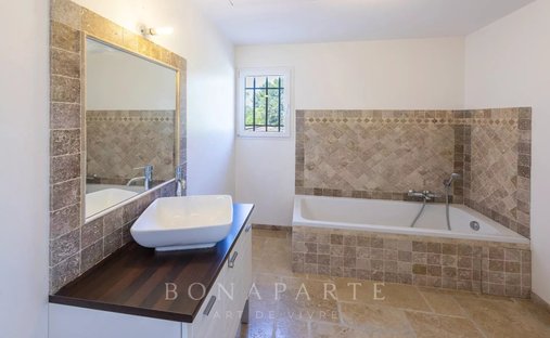 Chateau In Provence With Guest House And 13 Ha Land