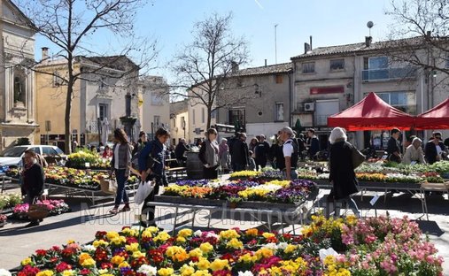 Castle for Sale in Mauguio, Occitanie, France