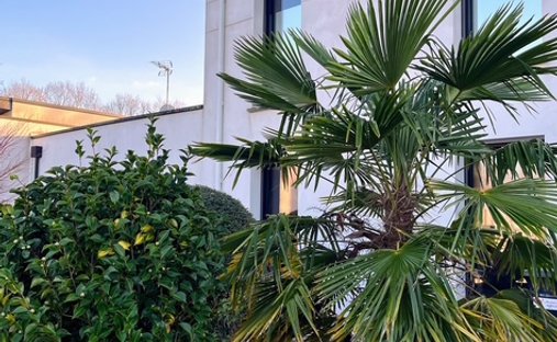 Castle for Sale in La Roche-sur-Yon, Pays de la Loire, France - 4