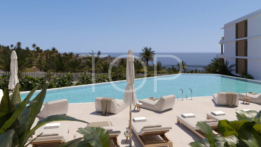 Apartment in Callao Salvaje, Adeje, Canary Islands 2 - 16874188