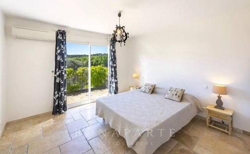 Chateau In Provence With Guest House And 13 Ha Land