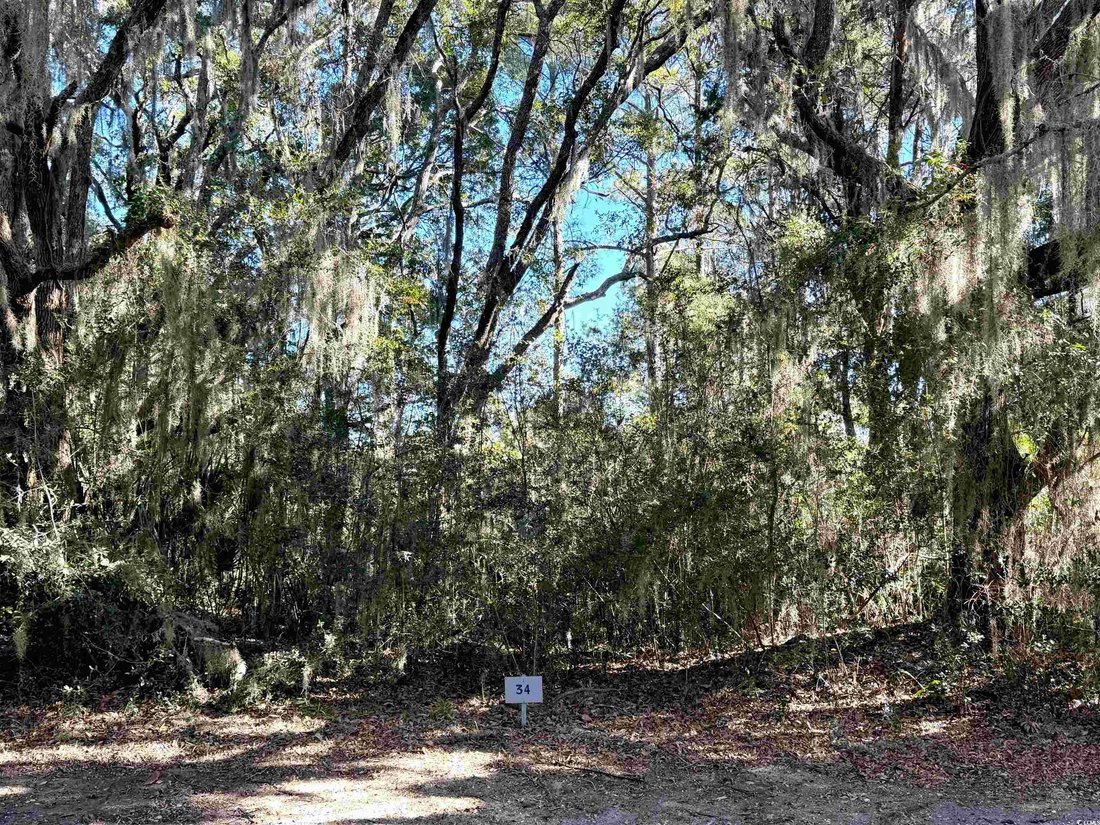 Terreno en Georgetown, Carolina del Sur, Estados Unidos 2 - 16867765