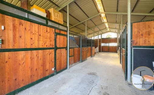 Castle, Renovation Project For Sale In Florence, Tuscany