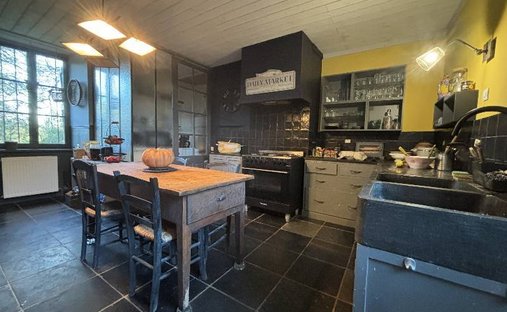 Castle for Sale in Le Bugue, Nouvelle-Aquitaine, France