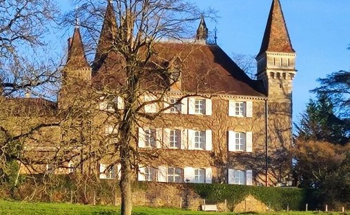 Castle for Sale in Bourg-en-Bresse, Auvergne-Rhône-Alpes, France - 3