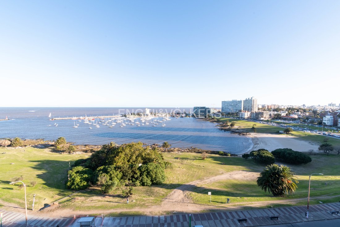 Apartment in Montevideo, Departamento de Montevideo, Uruguay 4 - 16859269