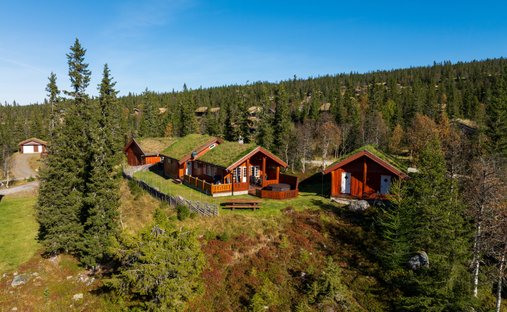 Chalet in Eggedal, Buskerud, Norway 1