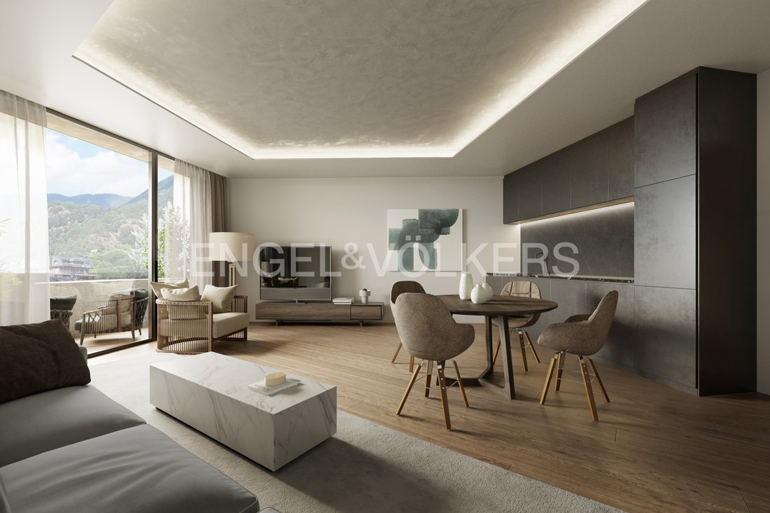 Apartment in La Massana, La Massana, Andorra 3 - 16864870