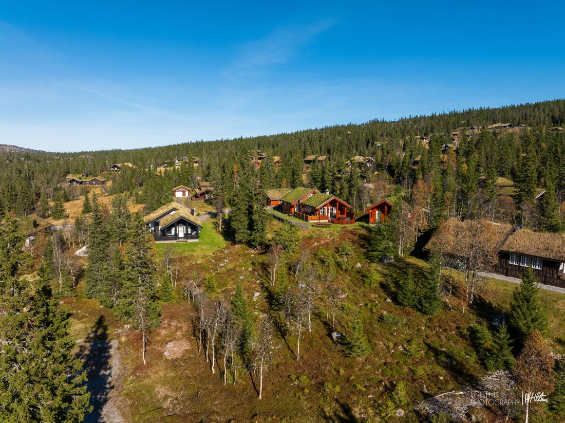 Curated visual reference: Picture Idea: Beautiful Leisure Property In Eggedal Norway