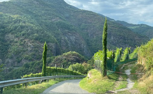Castle for Sale in Merano, Trentino-South Tyrol, Italy