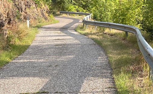 Castle for Sale in Merano, Trentino-South Tyrol, Italy