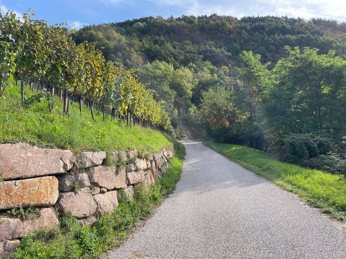 House in Europe-Novacella / Europa-Novacella, Bolzano / Bozen, Trentino – Alto Adige/Südtirol 3 - 16867284