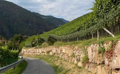 Castle for Sale in Merano, Trentino-South Tyrol, Italy