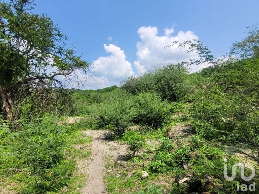 Land in Bonifacio García, Morelos, Mexico 3 - 16885264
