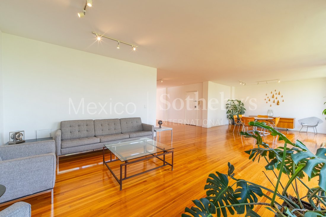 Apartment in Mexico City, Mexico 4 - 16874018