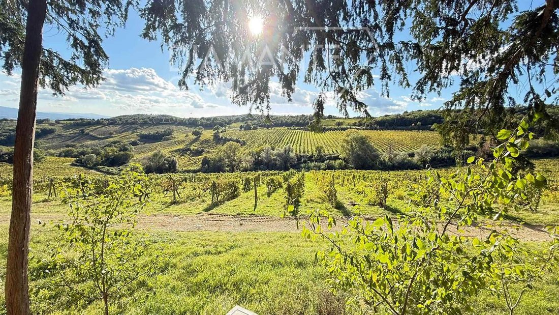 Farm Ranch in Montalcino, Tuscany, Italy 5 - 16873333