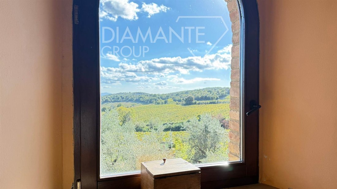 Farm Ranch in Montalcino, Tuscany, Italy 3 - 16873333