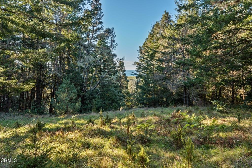 Land in Little River, California, United States 4 - 16870209