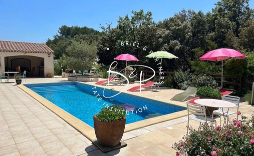Chateau In Provence With Guest House And 13 Ha Land