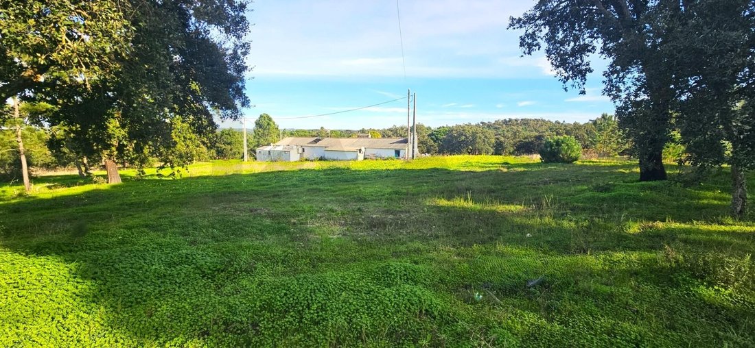 Farm Ranch in Melides, Setubal, Portugal 5 - 16883199