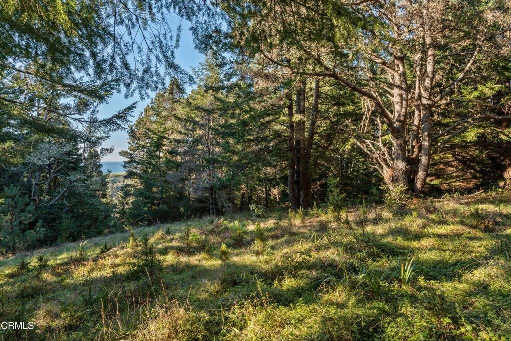 Land in Little River, California, United States 5 - 16870209