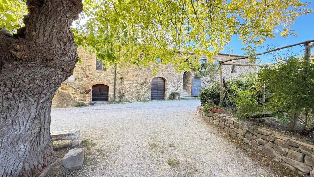 Farm Ranch in Montalcino, Tuscany, Italy 1 - 16873333