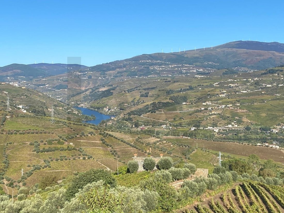 Azienda agricola a Cambres, Distretto di Viseu, Portogallo 3 - 16823067