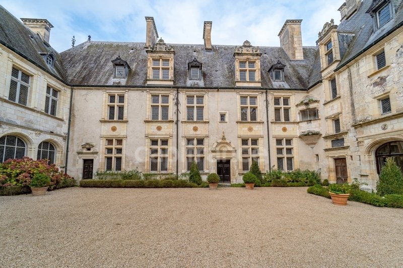 Castle in Saint-Florent-sur-Cher, Centre-Val de Loire, France 3 - 16880372