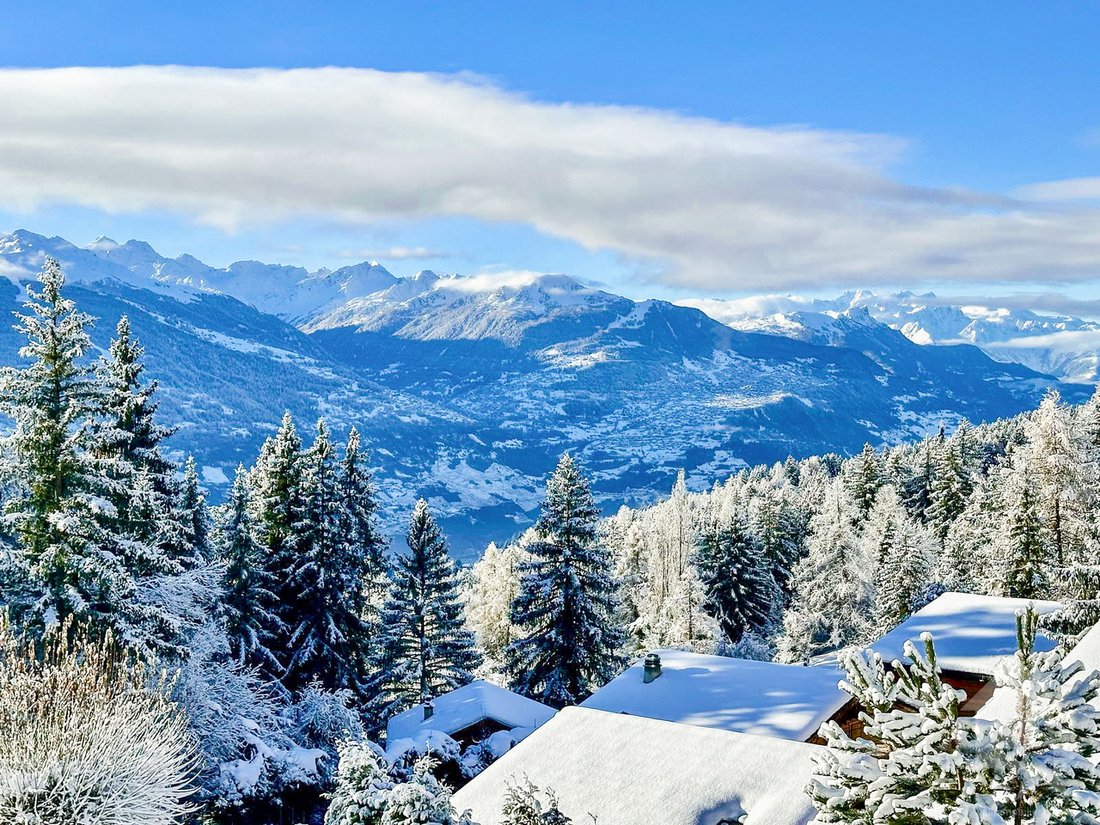 Spacieux Appartement Rénové 2.5 Pièces Jouissant D'une Vue Magnifique