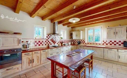 Castle for Sale in Le Bugue, Nouvelle-Aquitaine, France