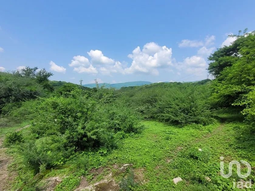 Land in Bonifacio García, Morelos, Mexico 1 - 16885264