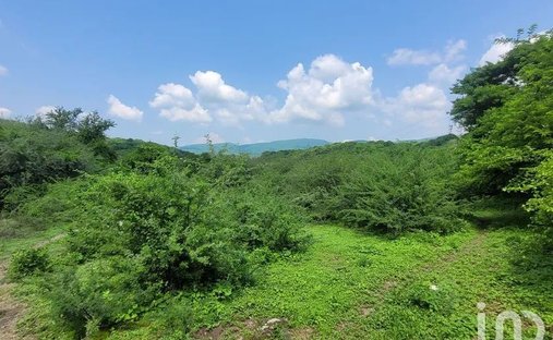 Terreno a Bonifacio García, Morelos, Messico 1